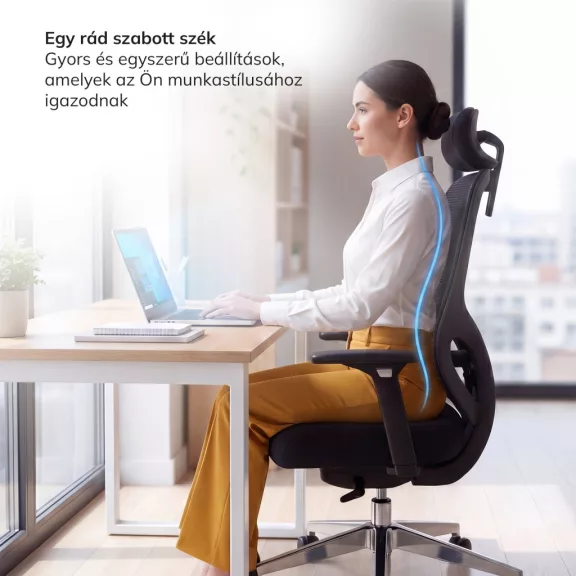 Jan Nowak®  AXIS ergonomikus hálós irodai szék – éjfekete