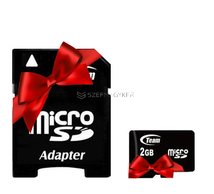 2GB MICRO SD CARD